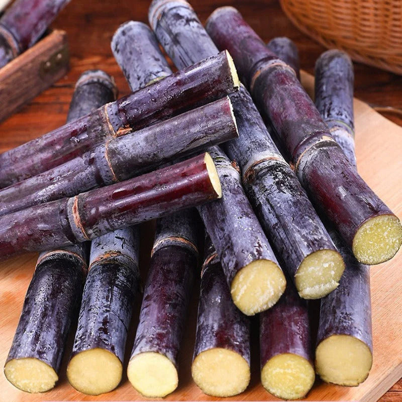 Sweet Harvest Starter Kit 🌱 400 Pills Sugar Cane