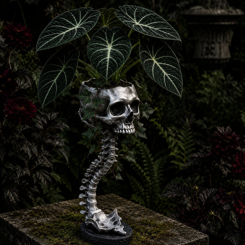 ๐ ๐ฟ Sculptured Skull Flowerpot