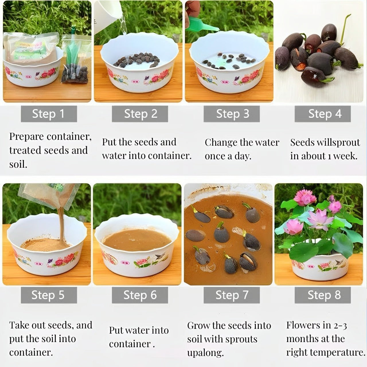 50 Mixed Color Lotus