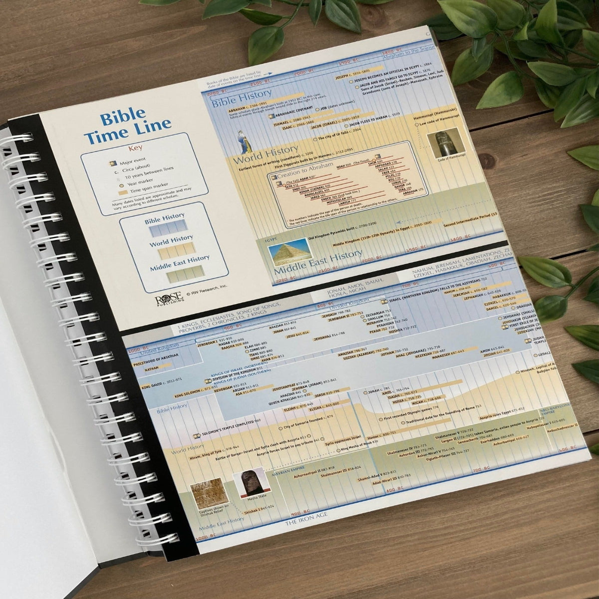 The All-in-One Bible Reference for History & Context