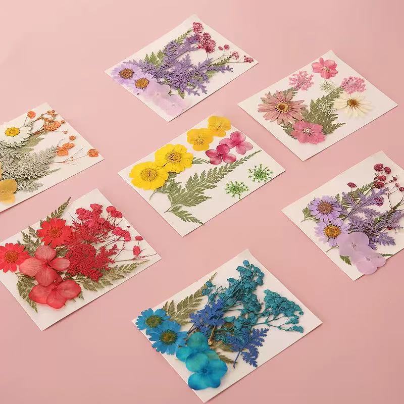 DIY Transparent Dried Flowers Bookmarks