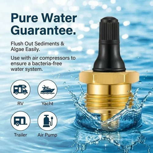 Brass RV Winterization Blow-Out Plug with Integrated Drain Valve