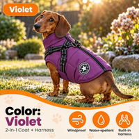 Violet