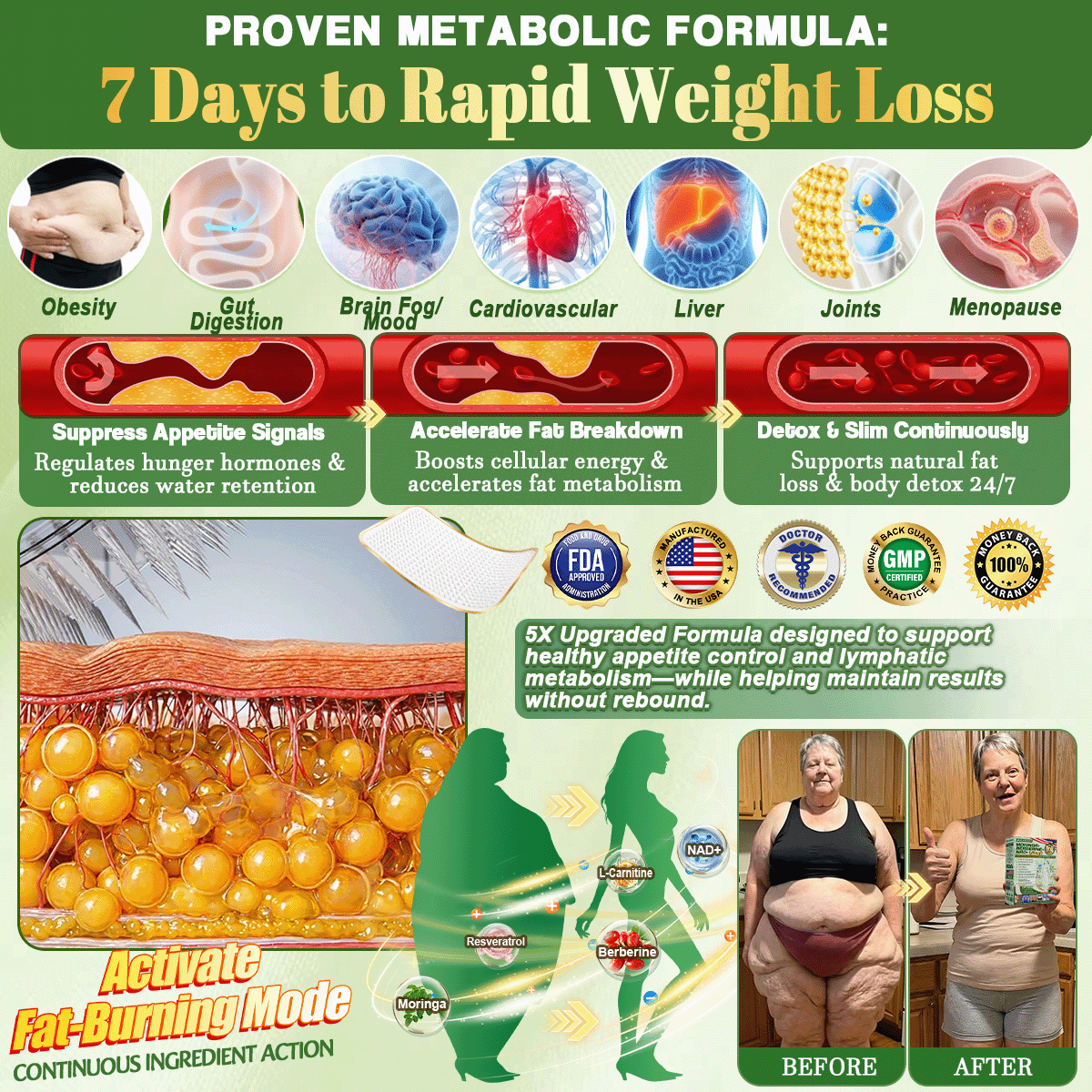 🔥10-in-1 Moringa Berberine NAD+ Nano Microneedle Patch
