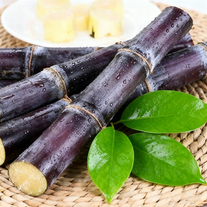 Sweet Harvest Starter Kit 🌱 400 Pills Sugar Cane