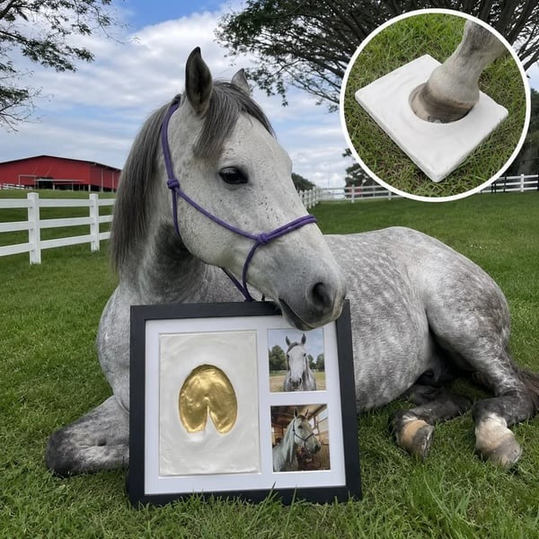 🐾 13.12-Inch Keepsake Clay Kit — Preserve the Imprint of a Beloved Pet or Loved One