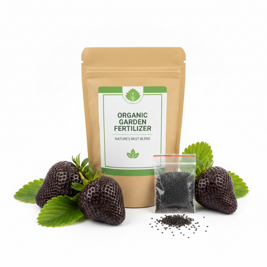 Giant Black Diamond Strawberries Seeds - Sweet,Nutrient-Rich & Easy to Grow at Home