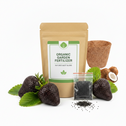Giant Black Diamond Strawberries Seeds - Sweet,Nutrient-Rich & Easy to Grow at Home