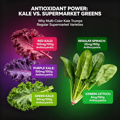 Ornamental & Edible Mix Large Flowered Kale