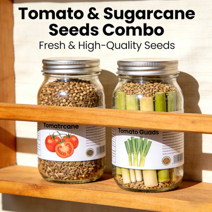 Dual Harvest Delight: 400 Sugar Cane + 100 Sweet 100 Tomato Bundle 🌱🍅