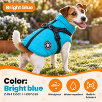 Bright Blue
