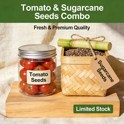 Dual Harvest Delight: 400 Sugar Cane + 100 Sweet 100 Tomato Bundle 🌱🍅