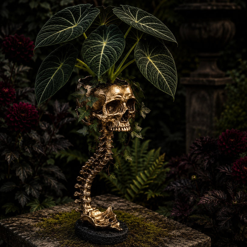 💀 🌿 Sculptured Skull Flowerpot