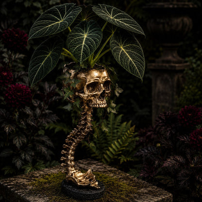 💀 🌿 Sculptured Skull Flowerpot