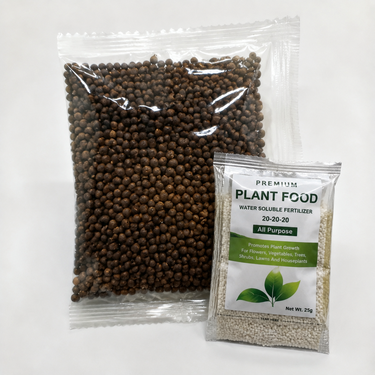 100+ Caladium Blue & Black Hosta Seeds