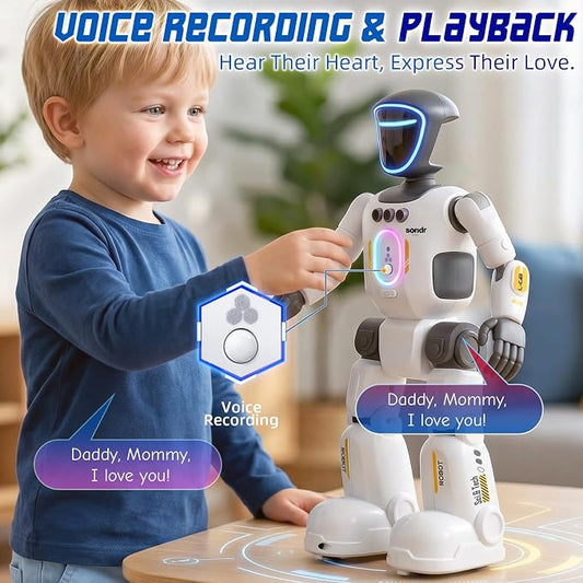 Intelligent Interactive Humanoid Robot