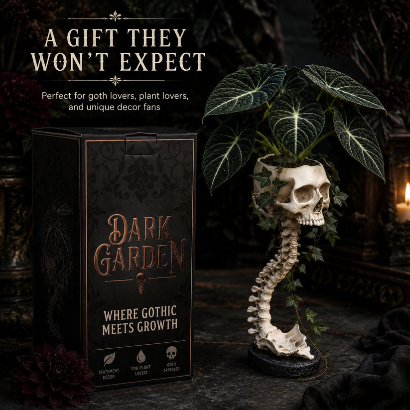 💀 🌿 Sculptured Skull Flowerpot