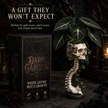 💀 🌿 Sculptured Skull Flowerpot