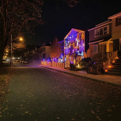 🎄Christmas LED House Net & Smart Outdoor Wall Curtain Light