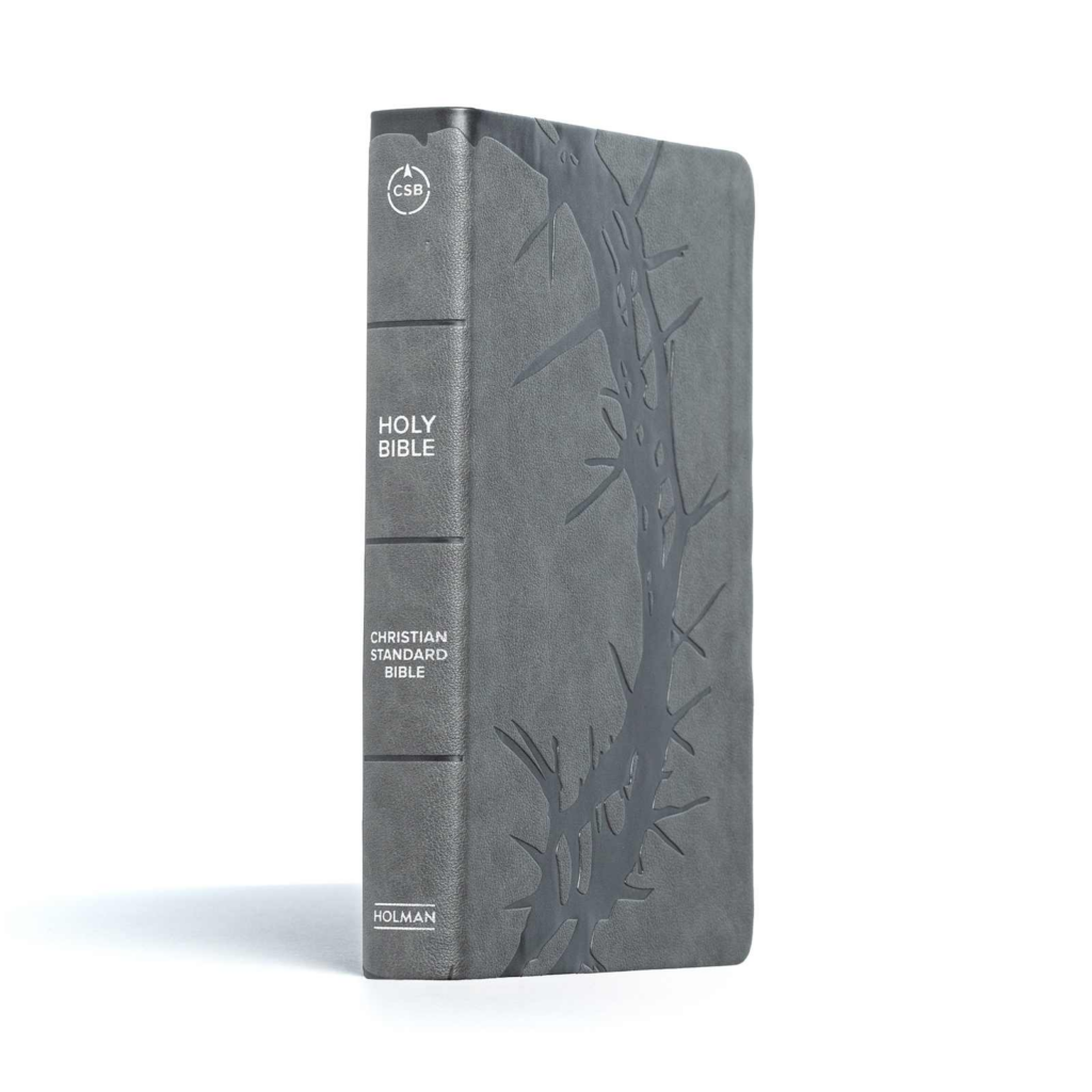 KJV Large Print Personal Size Reference Bible