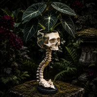 Natural Bone