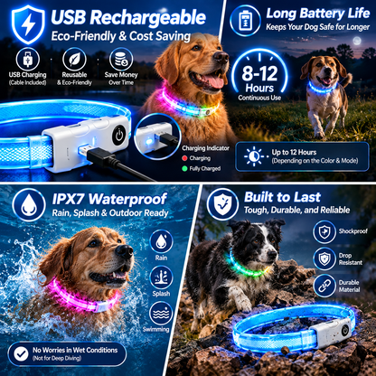 dht™⭐LED Light Up Dog Collar🌈Visible at a distance during the night