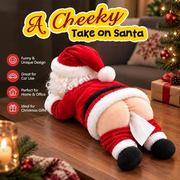 Cheeky Santa Christmas tissue holder