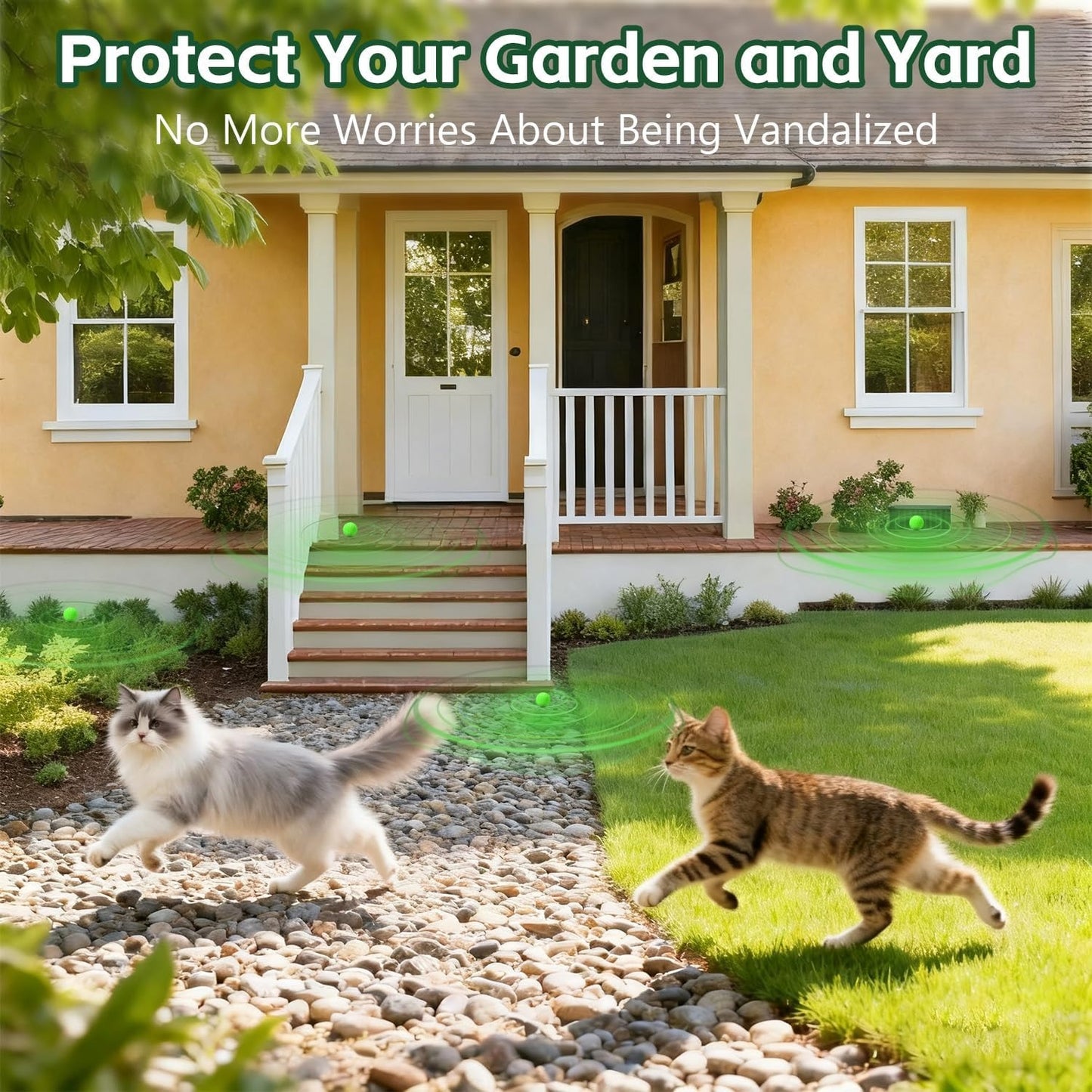 Natural Peppermint Cat Deterrent Outdoor and Indoor