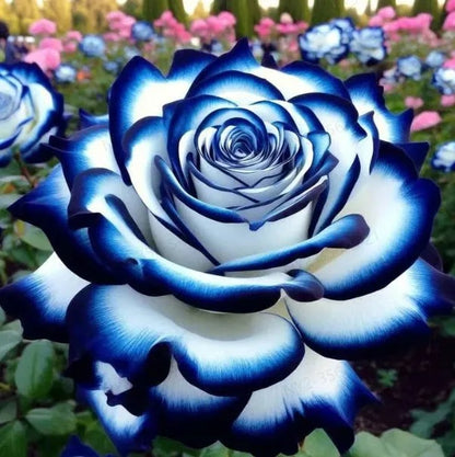 🌹 Rare and unique colored mutant rose seeds—your garden deserves magic! 🌙