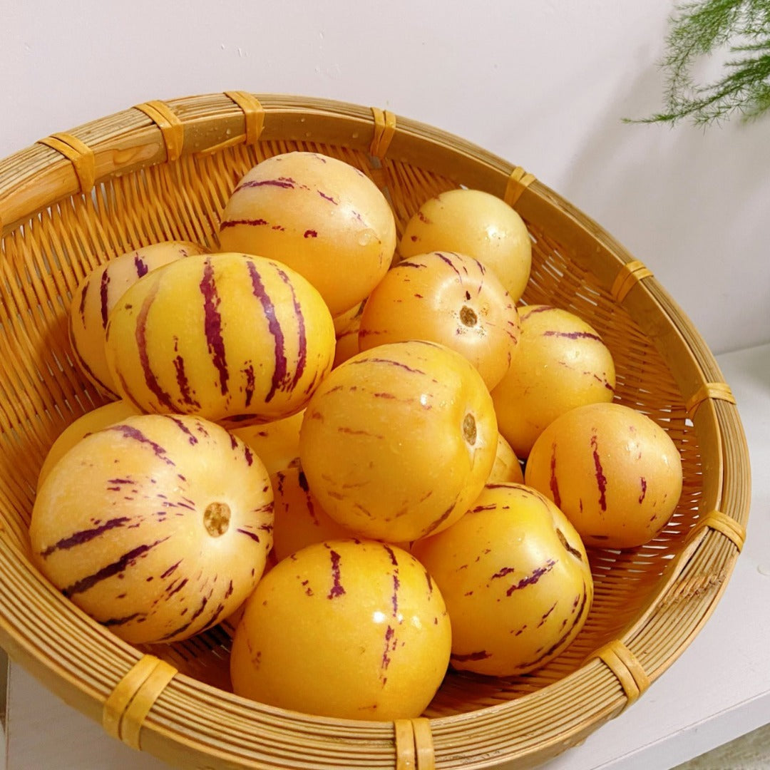 ✨High Protein Ginseng Fruit Seeds – Rich in Vitamins, Nutritious & Easy to Grow