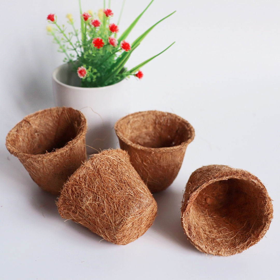Coconut Coir Seedling Pots - Natural Biodegradable Plant Starter Cups
