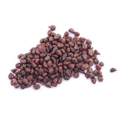 Giant Grape Seeds: Seedless Juicy Giant