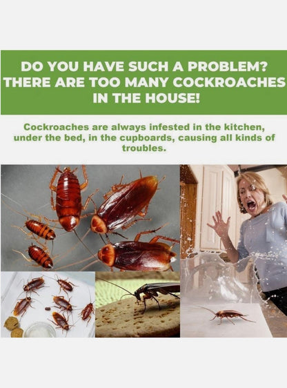 ✨ BUY 1 GET 1 FREE ✨Natural Cockroach Repellent Balls