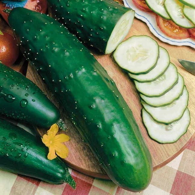 50 Fruit cucumber
