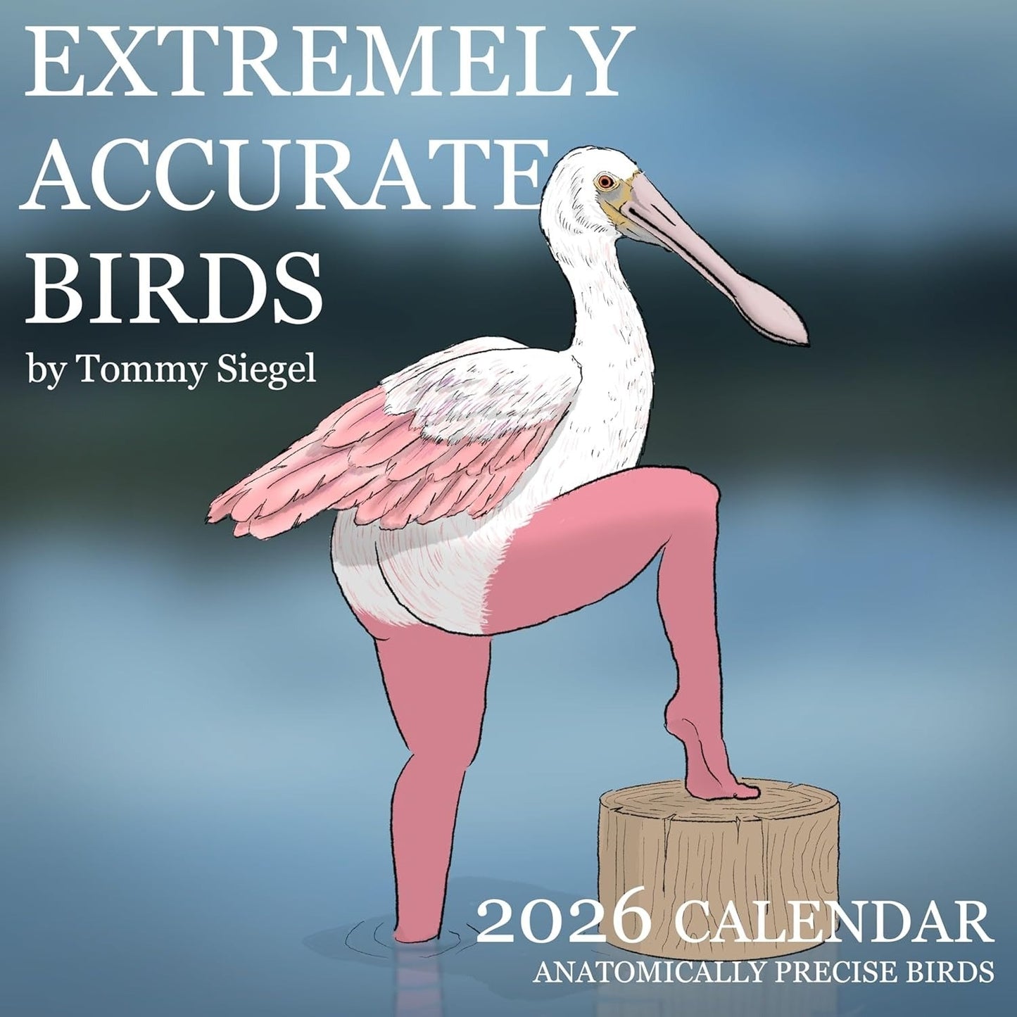 ✨2026 Sale 50% OFF✨2026 Calendar of Extremely Accurate Birds
