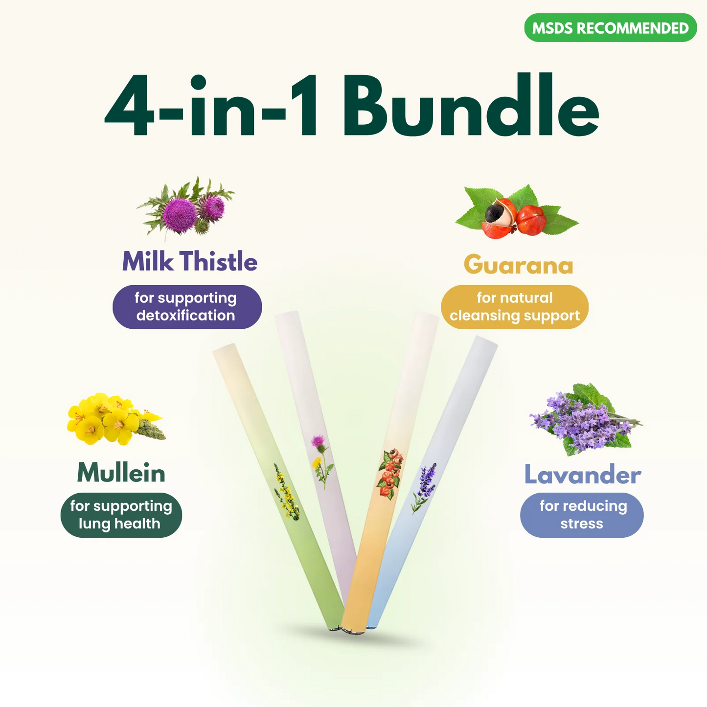 4-in-1 Herbal Inhaler Bundle