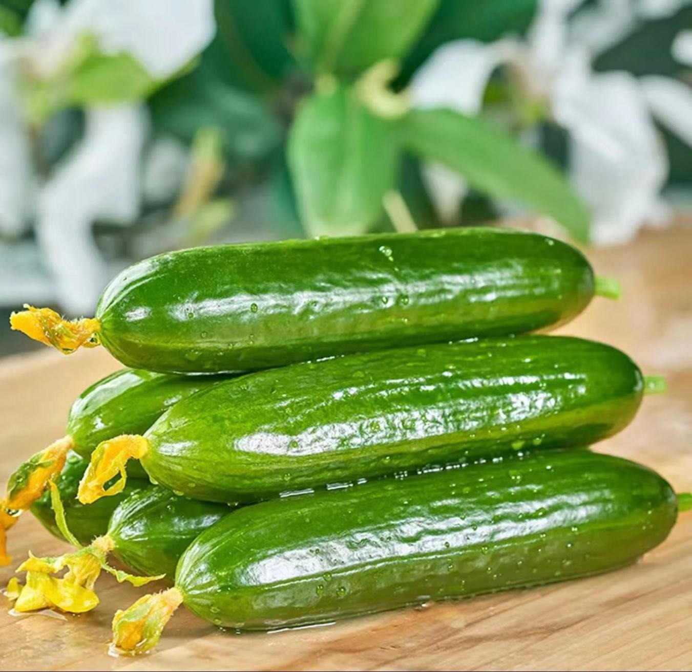 50 Fruit cucumber
