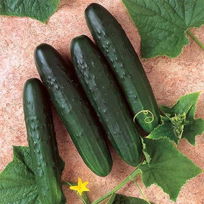 50 Fruit cucumber