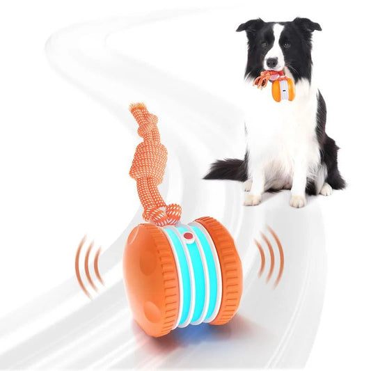 🐶 Smart Buddy Ball- Keep Your Pet Relaxed, Happy & Content 🐾