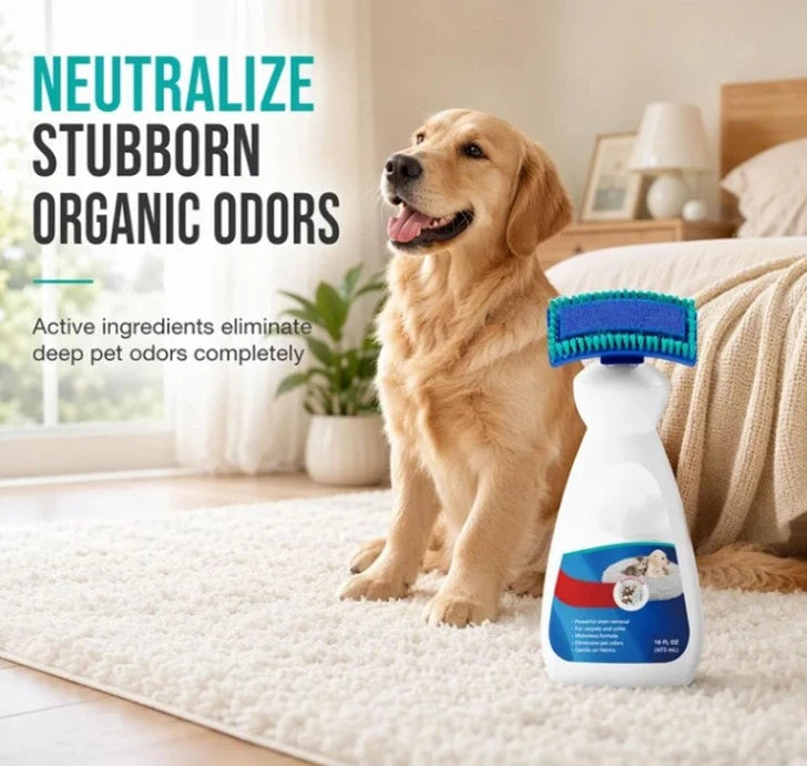 Waterless Fabric and Carpet Cleaner
